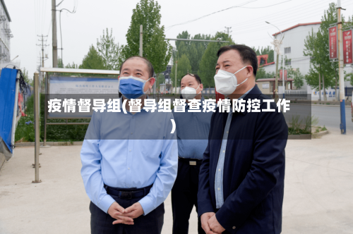 疫情督导组(督导组督查疫情防控工作)-第2张图片
