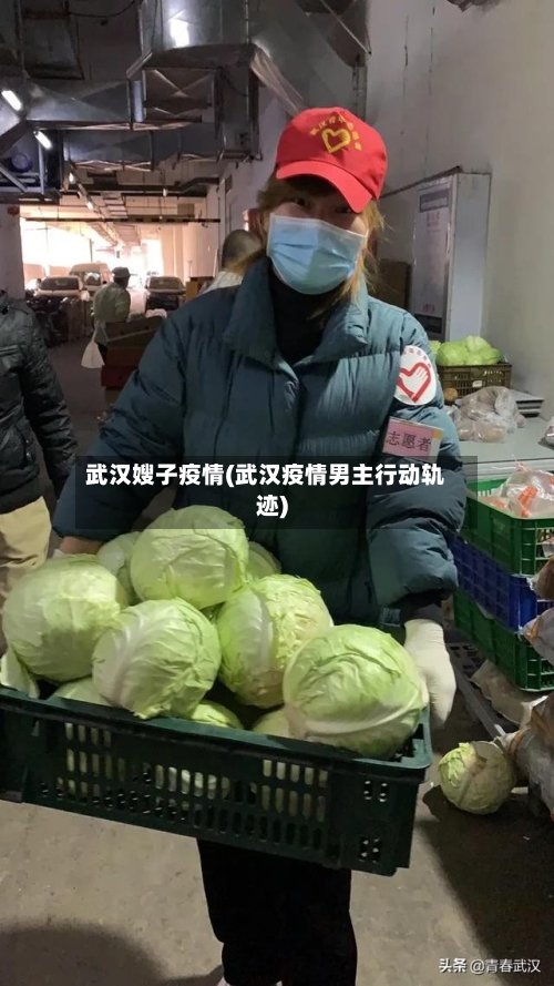 武汉嫂子疫情(武汉疫情男主行动轨迹)-第1张图片