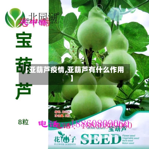 【亚葫芦疫情,亚葫芦有什么作用】-第2张图片