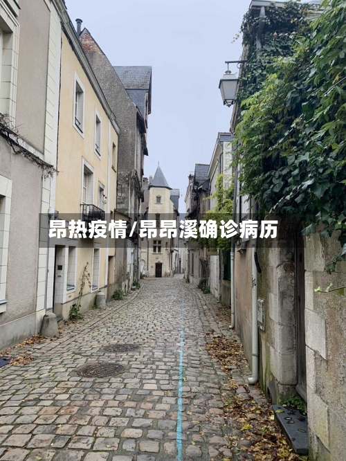 昂热疫情/昂昂溪确诊病历-第1张图片