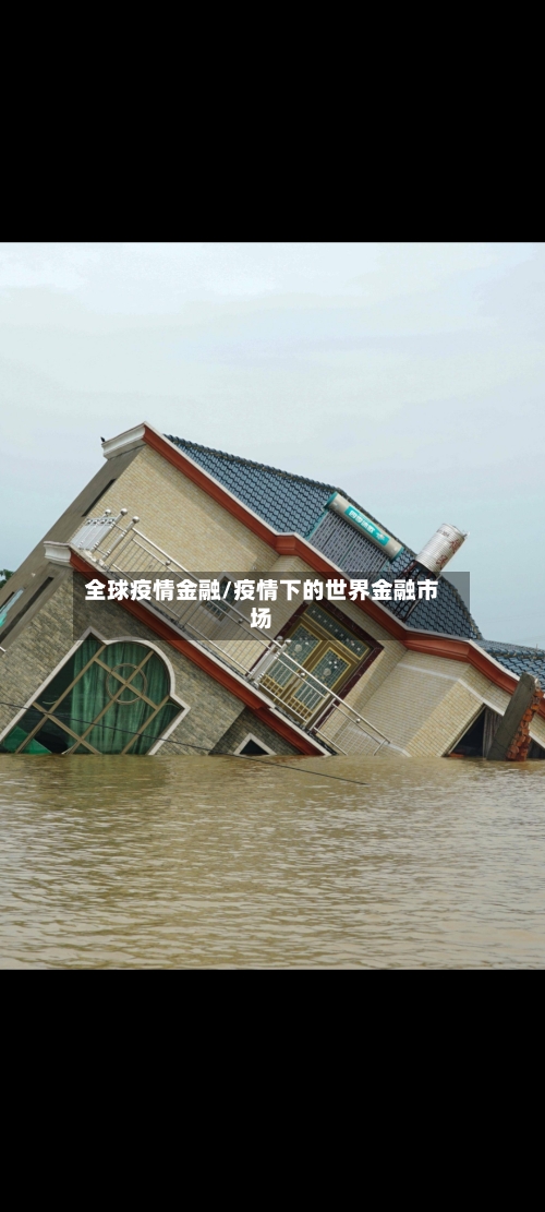 全球疫情金融/疫情下的世界金融市场-第2张图片
