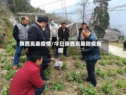 陕西岚皋疫情/今日陕西岚皋防疫新闻-第2张图片