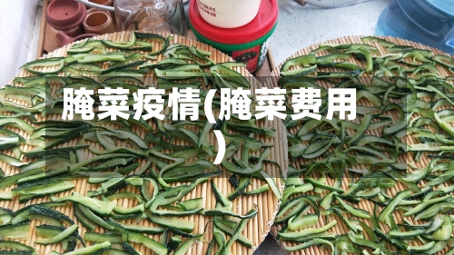 腌菜疫情(腌菜费用)-第2张图片
