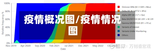 疫情概况图/疫情情况图-第2张图片