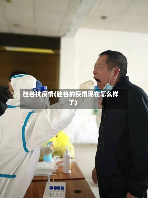 硅谷抗疫情(硅谷的疫情现在怎么样了)-第2张图片