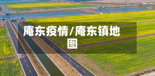 庵东疫情/庵东镇地图-第2张图片