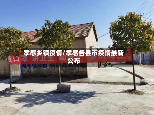 孝感乡镇疫情/孝感各县市疫情最新公布-第3张图片