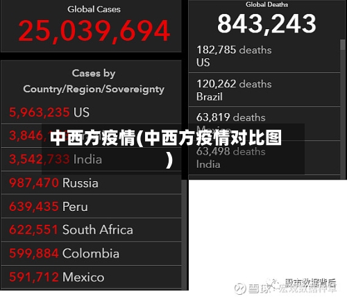 中西方疫情(中西方疫情对比图)-第3张图片