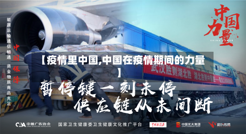【疫情里中国,中国在疫情期间的力量】-第3张图片