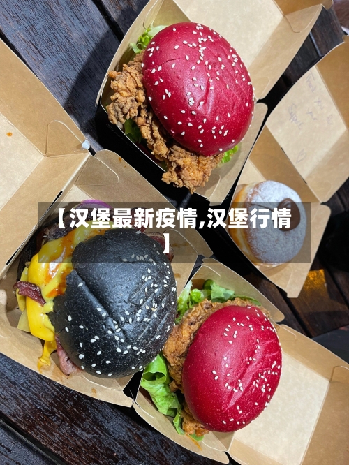 【汉堡最新疫情,汉堡行情】-第2张图片