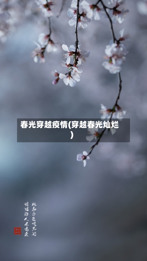 春光穿越疫情(穿越春光灿烂)-第2张图片