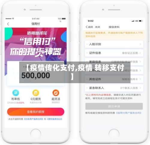 【疫情传化支付,疫情 转移支付】-第1张图片