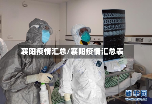 襄阳疫情汇总/襄阳疫情汇总表-第2张图片