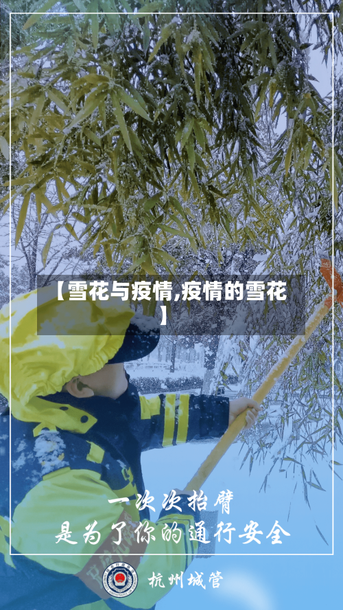 【雪花与疫情,疫情的雪花】-第1张图片