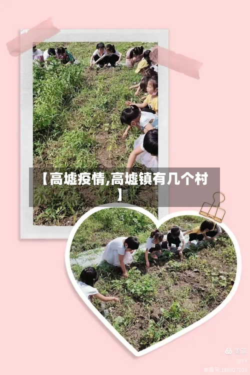 【高墟疫情,高墟镇有几个村】-第2张图片