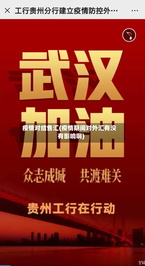 疫情对结售汇(疫情期间对外汇有没有影响啊)-第2张图片