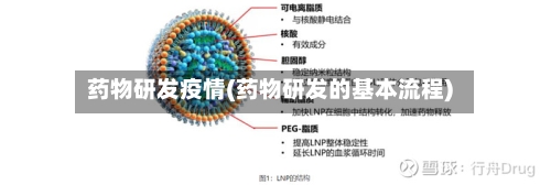 药物研发疫情(药物研发的基本流程)-第2张图片