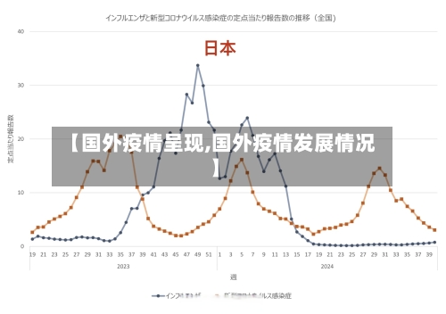 【国外疫情呈现,国外疫情发展情况】-第3张图片