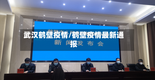 武汉鹤壁疫情/鹤壁疫情最新通报-第3张图片