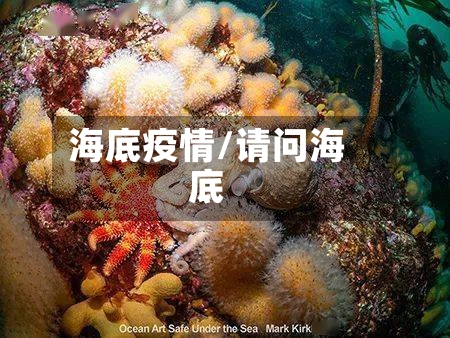 海底疫情/请问海底-第2张图片