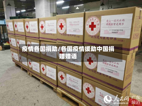 疫情各国捐助/各国疫情援助中国捐赠赠语-第1张图片