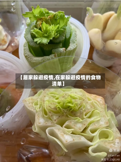 【居家躲避疫情,在家躲避疫情的食物清单】-第1张图片