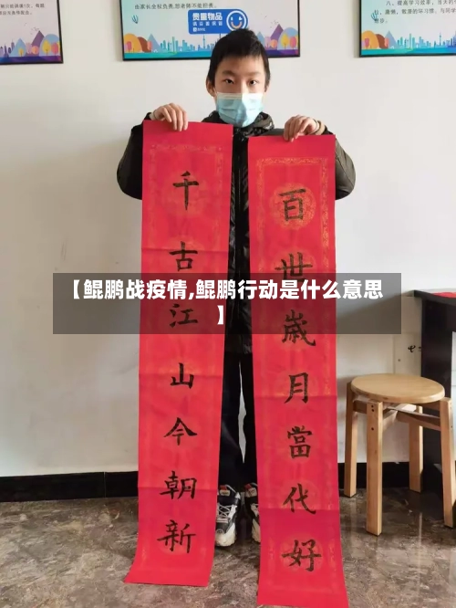 【鲲鹏战疫情,鲲鹏行动是什么意思】-第1张图片