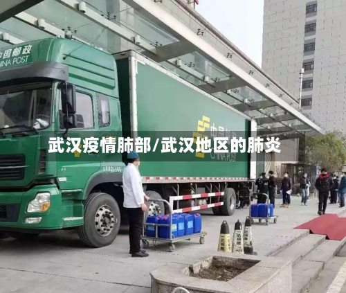 武汉疫情肺部/武汉地区的肺炎-第2张图片