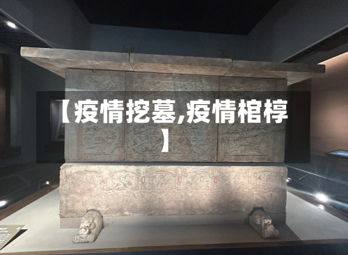 【疫情挖墓,疫情棺椁】-第2张图片