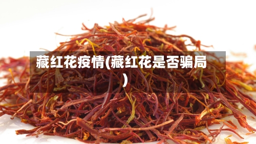 藏红花疫情(藏红花是否骗局)-第1张图片