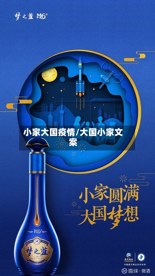 小家大国疫情/大国小家文案-第2张图片