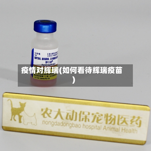 疫情对辉瑞(如何看待辉瑞疫苗)-第1张图片