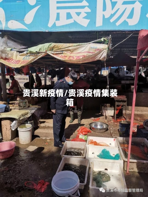 贵溪新疫情/贵溪疫情集装箱-第1张图片