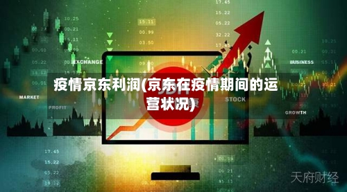 疫情京东利润(京东在疫情期间的运营状况)-第2张图片