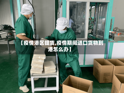 【疫情港区提货,疫情期间进口货物到港怎么办】-第2张图片