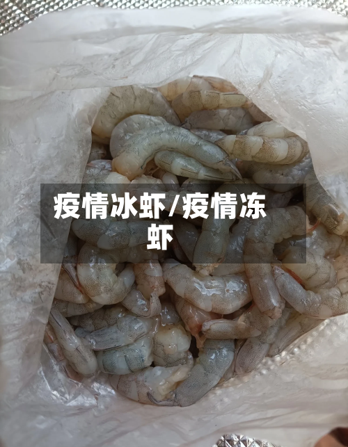 疫情冰虾/疫情冻虾-第2张图片