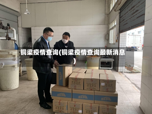 铜梁疫情查询(铜梁疫情查询最新消息)-第2张图片