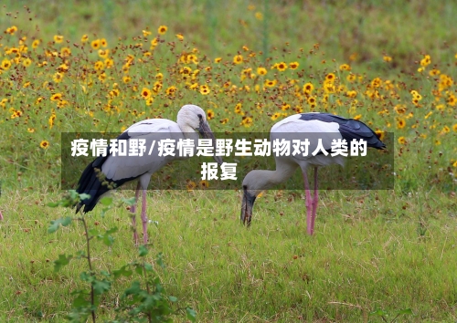 疫情和野/疫情是野生动物对人类的报复-第1张图片