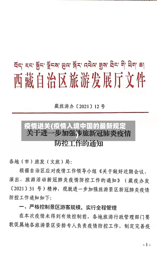疫情进关(疫情入境中国的最新规定)-第1张图片