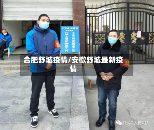 合肥舒城疫情/安徽舒城最新疫情-第3张图片