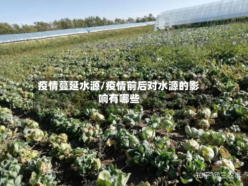 疫情蔓延水源/疫情前后对水源的影响有哪些-第2张图片