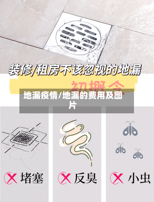 地漏疫情/地漏的费用及图片-第1张图片
