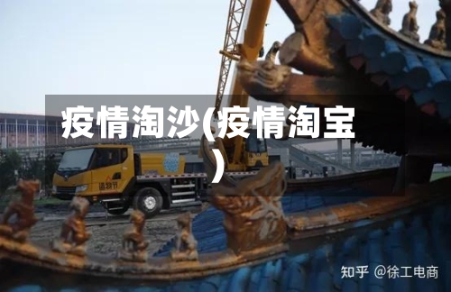 疫情淘沙(疫情淘宝)-第3张图片