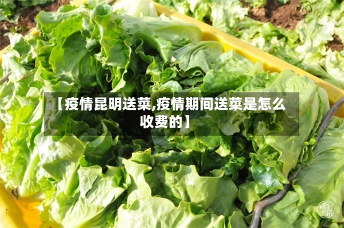 【疫情昆明送菜,疫情期间送菜是怎么收费的】-第3张图片