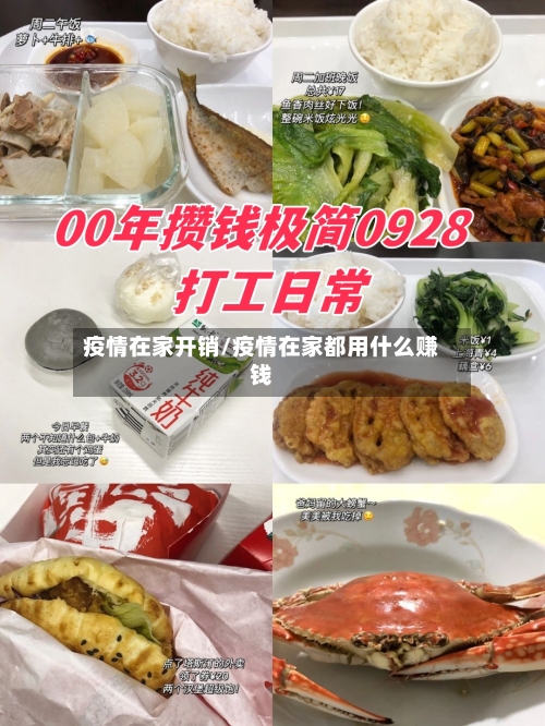 疫情在家开销/疫情在家都用什么赚钱-第1张图片