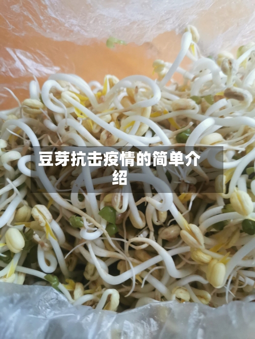 豆芽抗击疫情的简单介绍-第1张图片