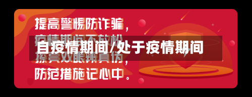 自疫情期间/处于疫情期间-第3张图片