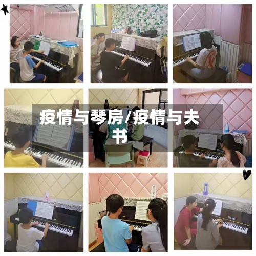 疫情与琴房/疫情与夫书-第2张图片