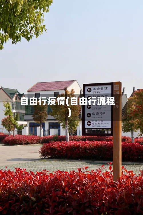 自由行疫情(自由行流程)-第2张图片