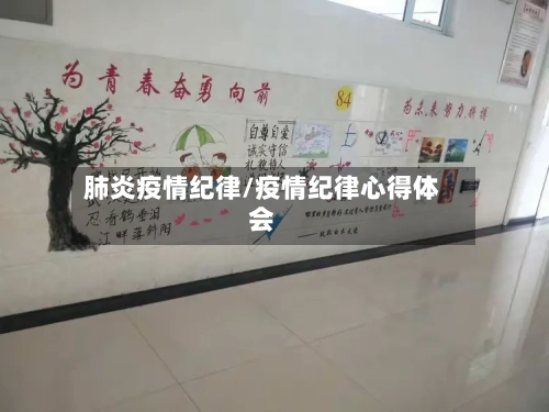 肺炎疫情纪律/疫情纪律心得体会-第3张图片